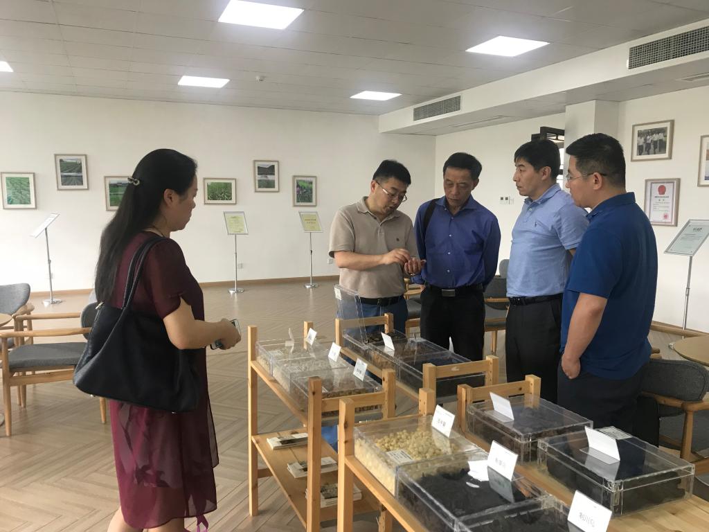 禁漫天堂
领导赴国嘉集团新荷花中药饮品股份有限公司调研