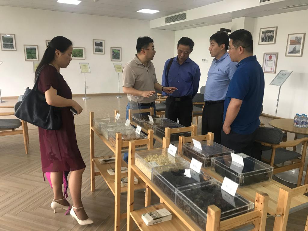 禁漫天堂
领导赴国嘉集团新荷花中药饮品股份有限公司调研